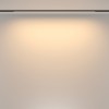 Трековый светильник Technical TR173-1-24WTW-B