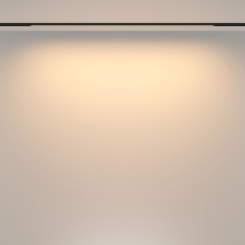 Трековый светильник Technical TR173-1-24WTW-B