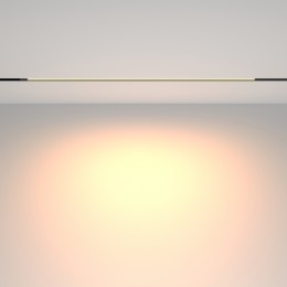 Трековый светильник Technical TR231-2-15W3K-B