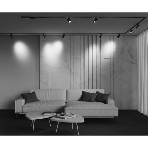 Трековый светильник Technical TR243-4-18WTW-DSZ-B