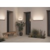 Уличный настенный светильник  Maytoni Outdoor Stria O509WL-L36B3K