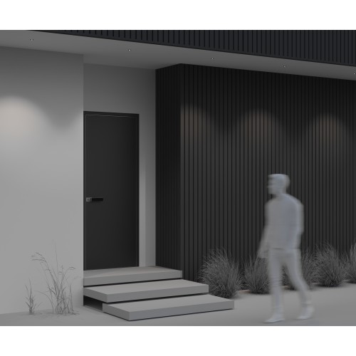 Уличный потолочный светильник  Maytoni Outdoor Cove O511DL-L2B4K