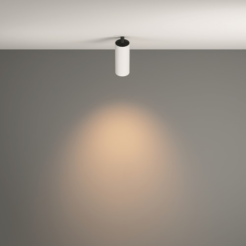 Потолочный светильник Technical C053CL-L12W3K-W-W