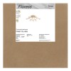 Люстра Freya FR5571CL-09G