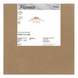 Люстра Freya FR5571CL-09G