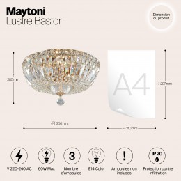 Люстра Maytoni Basfor DIA100-CL-03-G