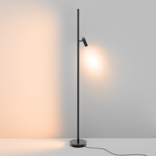 Напольный светильник (торшер) Maytoni Thin MOD395FL-L28B3K