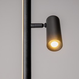 Напольный светильник (торшер) Maytoni Thin MOD395FL-L28B3K