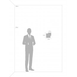 Настенный светильник (бра) Freya FR10027WL-L13W