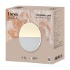 Настенный светильник (бра) Freya FR6199WL-L4W