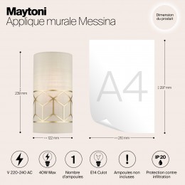 Настенный светильник (бра) Maytoni Messina H223-WL-01-G