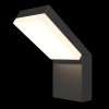 Настенный светильник (бра)  Maytoni Outdoor Paso O595WL-L12B3K