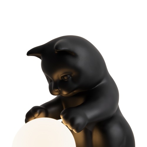 Настольный светильник Freya FR5607TL-01B