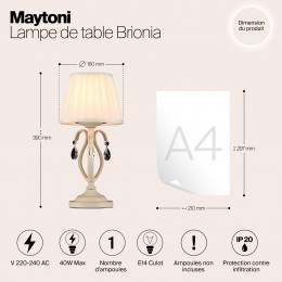 Настольный светильник Maytoni Brionia ARM172-01-G