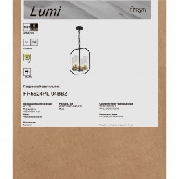 Подвесной светильник Freya FR5524PL-04BBZ