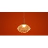 Подвесной светильник Freya FR5601PL-01TR