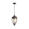 Подвесной светильник Maytoni Outdoor Fleur O414PL-01BZ