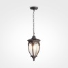 Подвесной светильник  Maytoni Outdoor  Fleur O414PL-01BZ