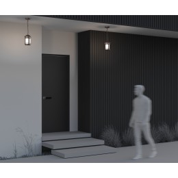 Подвесной светильник  Maytoni Outdoor Salamanca O031PL-01BR