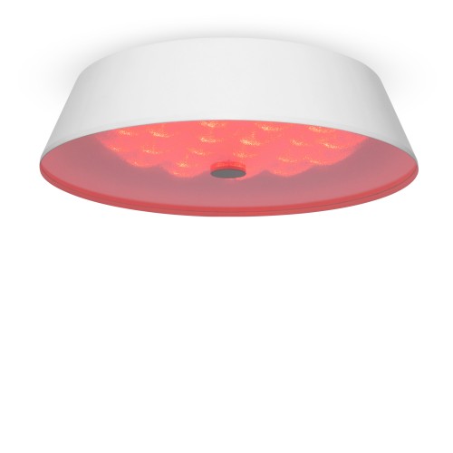 Потолочный светильник Freya FR10013CL-L24W