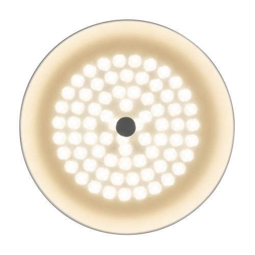 Потолочный светильник Freya FR10013CL-L24W