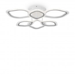 Потолочный светильник Freya FR10016CL-L72W