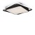 Потолочный светильник Freya FR10030CL-L88B Потолочный светильник Freya FR10030CL-L88B