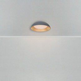 Потолочный светильник Freya FR5277CL-L72GR