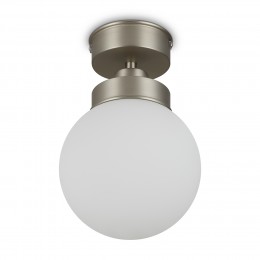 Потолочный светильник Freya FR5339CL-01N