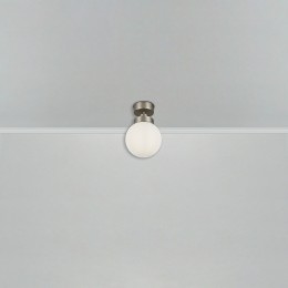 Потолочный светильник Freya FR5339CL-01N