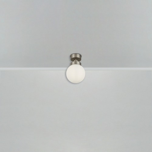 Потолочный светильник Freya FR5339CL-01N