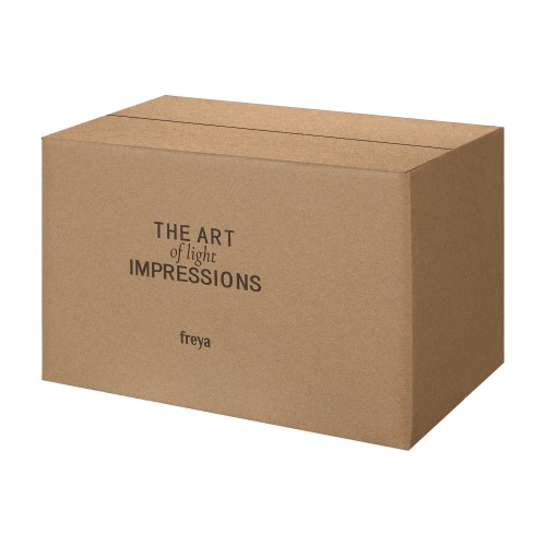 Потолочный светильник Freya FR5339CL-01N