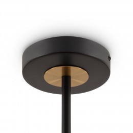 Потолочный светильник Freya FR5370CL-06B