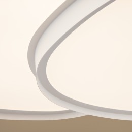 Потолочный светильник Freya FR6079CL-L72W