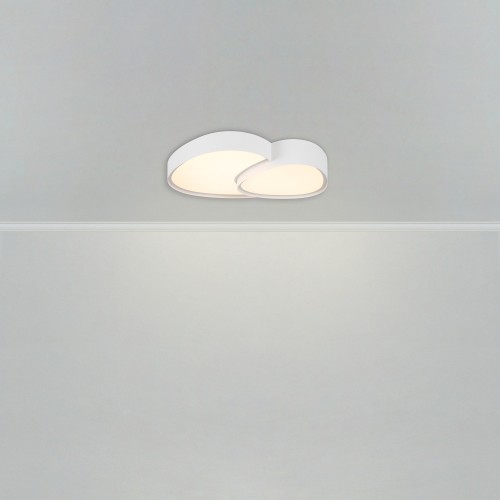 Потолочный светильник Freya FR6079CL-L72W