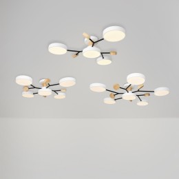 Потолочный светильник Freya FR6119CL-L72W