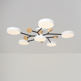 Потолочный светильник Freya FR6119CL-L72W