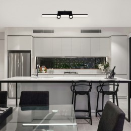 Потолочный светильник Freya FR6120CL-L16B