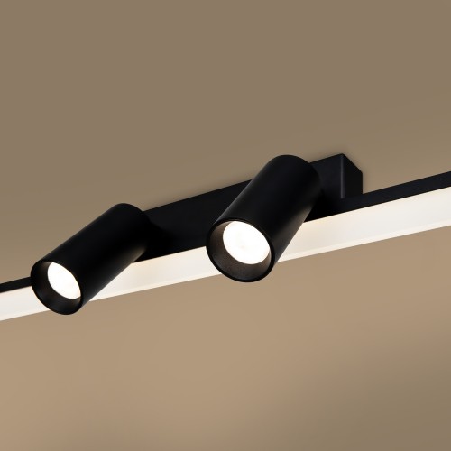 Потолочный светильник Freya FR6120CL-L16B