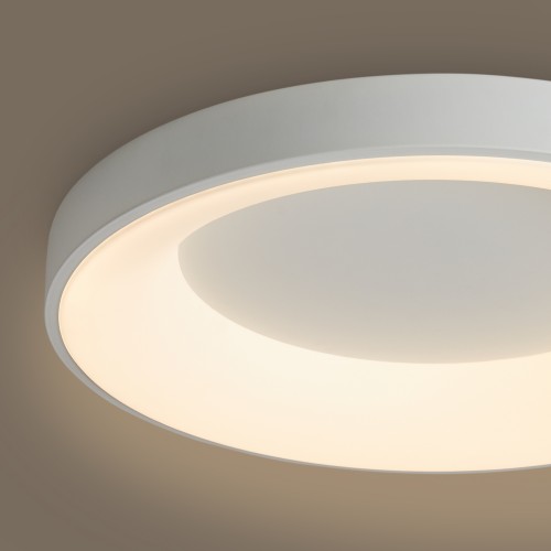 Потолочный светильник Freya FR6157CL-L65W