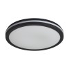 Потолочный светильник Freya FR6160CL-L40B