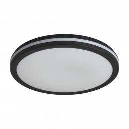 Потолочный светильник Freya FR6160CL-L40B