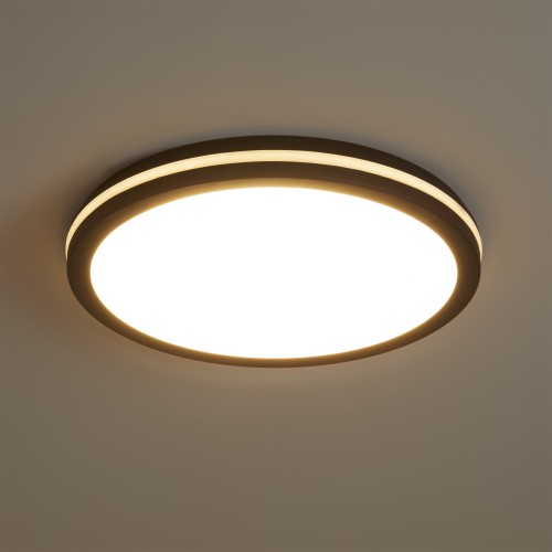 Потолочный светильник Freya FR6160CL-L40B