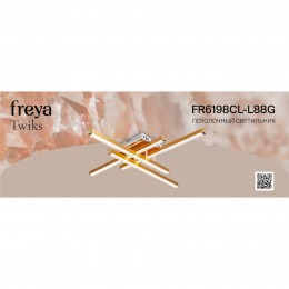 Потолочный светильник Freya FR6198CL-L88G