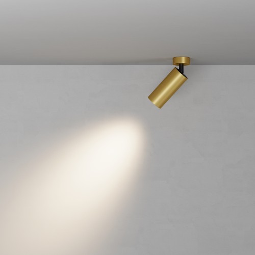 Потолочный светильник Technical C017CW-01MG-N