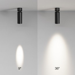 Потолочный светильник Technical C055CL-L12W4K-SS-B