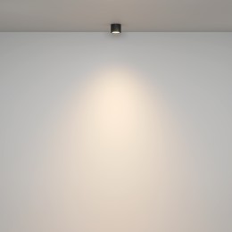 Потолочный светильник Technical C095CL-GX53-B