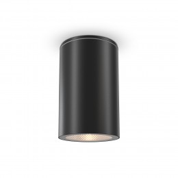 Потолочный светильник  Maytoni Outdoor Roll O307CL-01B
