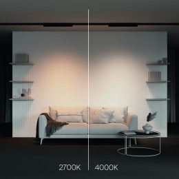Трековый светильник Technical TR196-3-20W2.7K-B(N)
