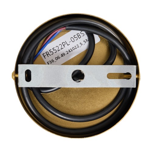 Люстра Freya FR5522PL-05BS1
